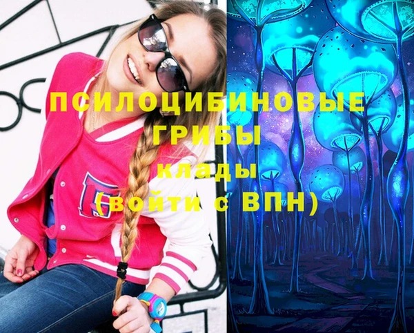 скорость Вяземский