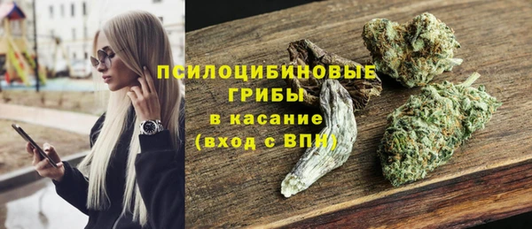 скорость Вяземский